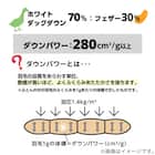 【日本製】ホワイトダックダウン70% 羽毛布団(ムーンシャンテン クイーン) 6枚目画像