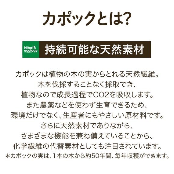 置くだけ簡単 敷パッド ダブル(あったかベロア D A2408) 4枚目画像