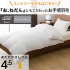 羽毛掛ふとん シングル(S-1 K2413 S) 2枚目画像