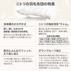 羽毛掛ふとん シングル(S-1 K2413 S) 6枚目画像