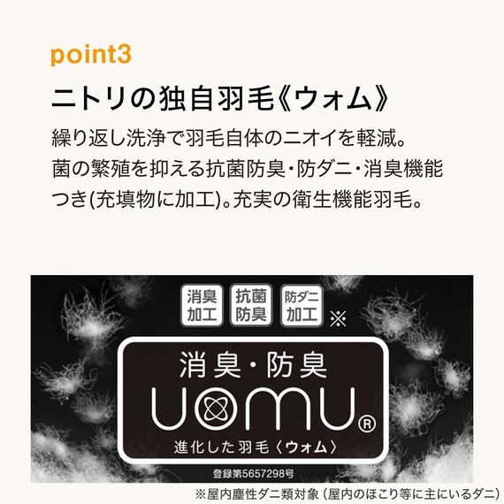 羽毛掛ふとん ダブル(S-1 K2413 D) 9枚目画像