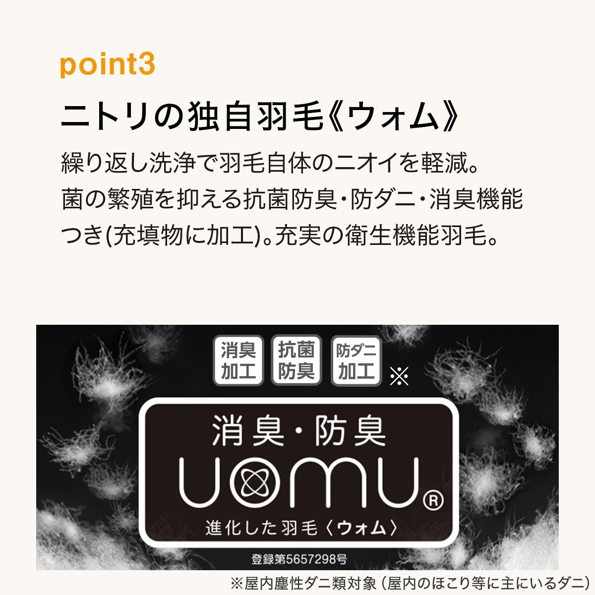 2枚合わせ羽毛掛ふとん クイーン(NTR-2 K2414 Q) | ニトリネット【公式