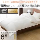 羽毛掛ふとん ダブル(ULG5 K2419 D) 2枚目画像
