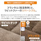 カバーなしで使える快適掛ふとん ダブル(NウォームSP K2412 D) 6枚目画像