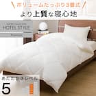 ホテルスタイル掛ふとん Nホテル プレミアム クイーン(K2408 Q) 2枚目画像