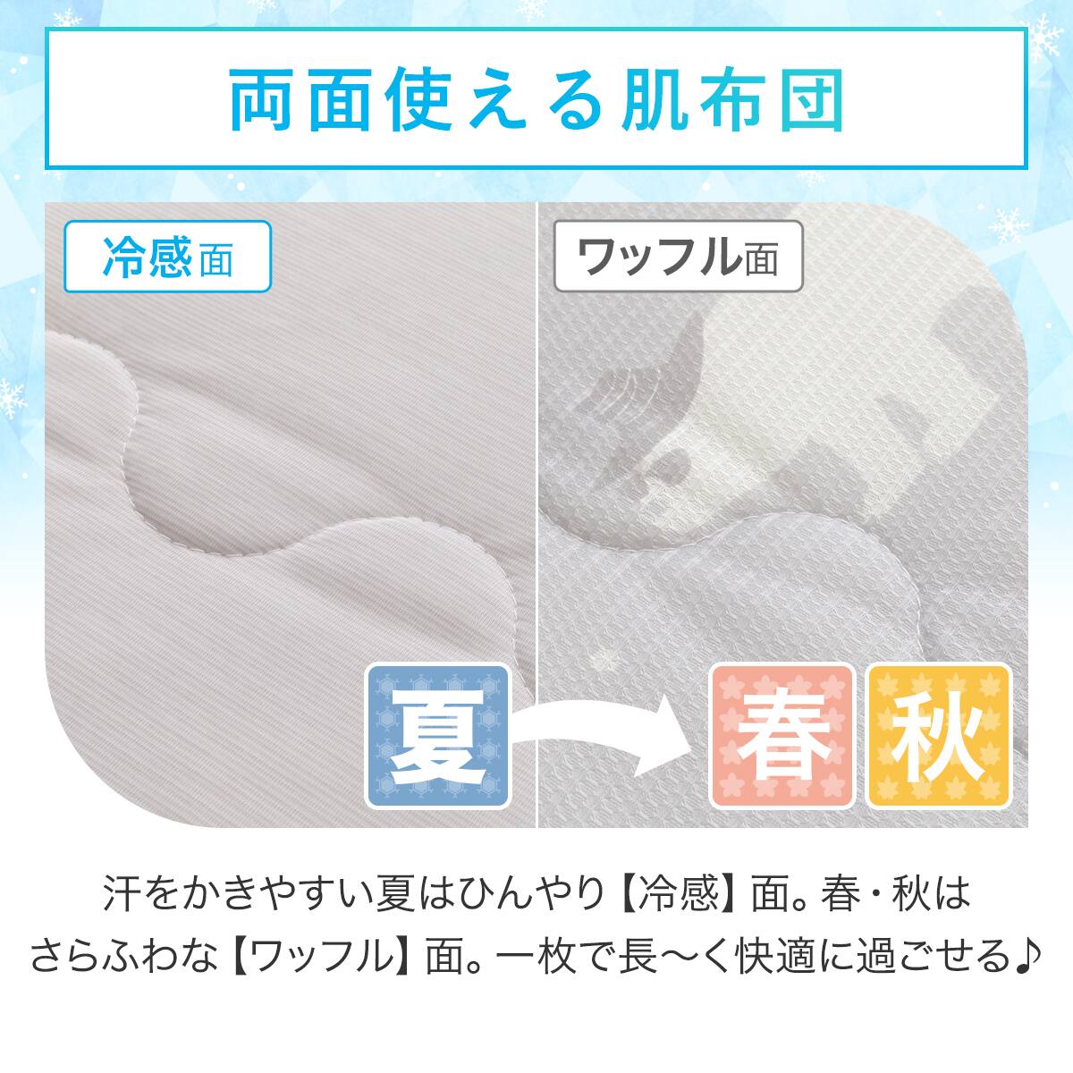 両面使える 肌布団 シングル(Nクール S2503 ベア) | ニトリネット