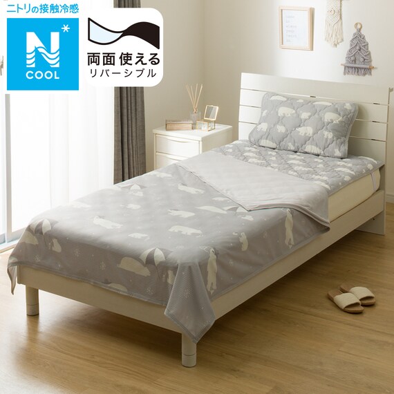 両面使える ひんやりケット シングル(Nクール S2503 ベア) 1枚目画像