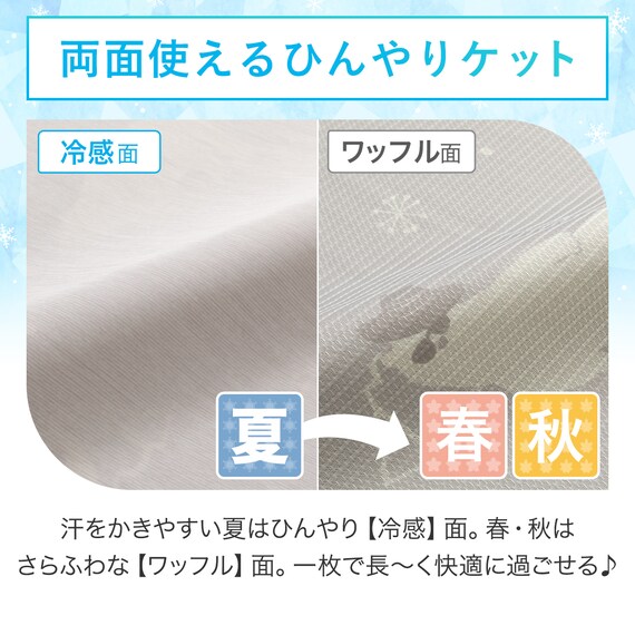 両面使える ひんやりケット シングル(Nクール S2503 ベア) 5枚目画像