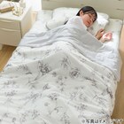 【3点セット】両面使える 敷パッド+肌布団+ピローパッド(NCWSP S2513 ラインアート S) 3枚目画像