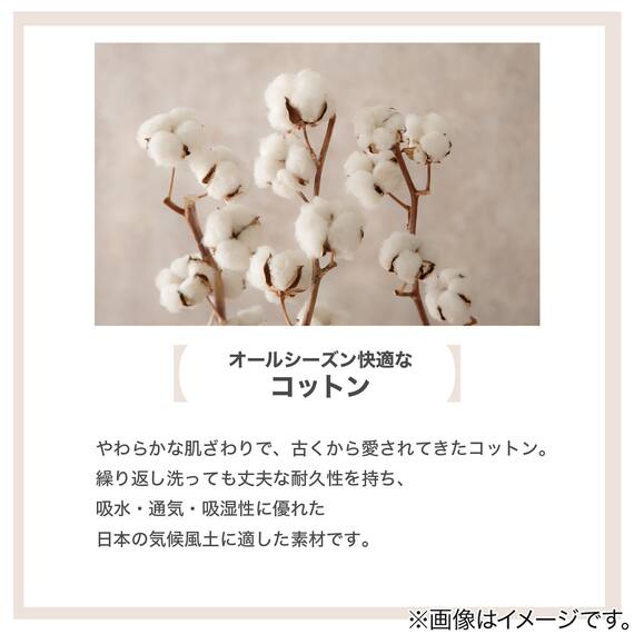 敷きパッド セミダブル(Cベロア SD GY T04) 9枚目画像