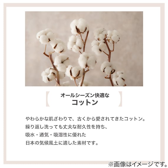 敷きパッド ダブル(Cベロア D GY T04) 9枚目画像