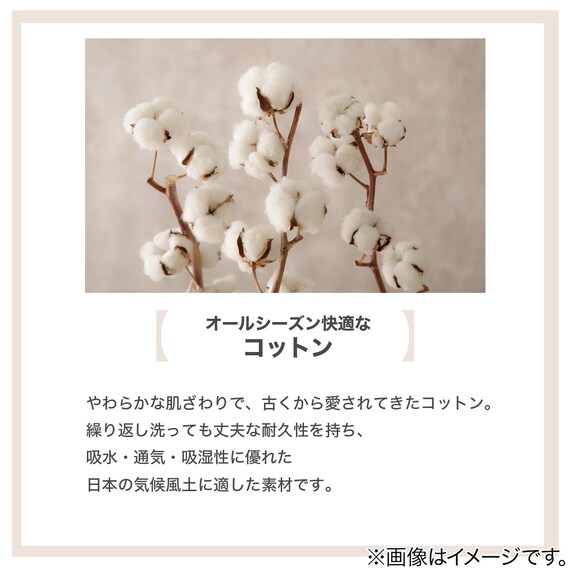 BOXパッド シングル(Cベロア S GY T04) 10枚目画像