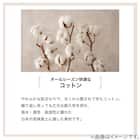 BOXパッド シングル(Cベロア S GY T04) 10枚目画像