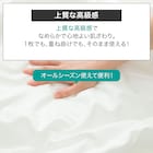 肌布団 シングル(Nホテル S WH S2522) 3枚目画像