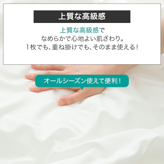肌布団 シングル(Nホテル S WH S2522) 3枚目画像