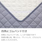 敷きパッド シングル(ヒンヤリリネン S DBL S2521) 5枚目画像