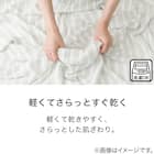 タオルケット シングル(ドライパイル S GYS2531) 5枚目画像