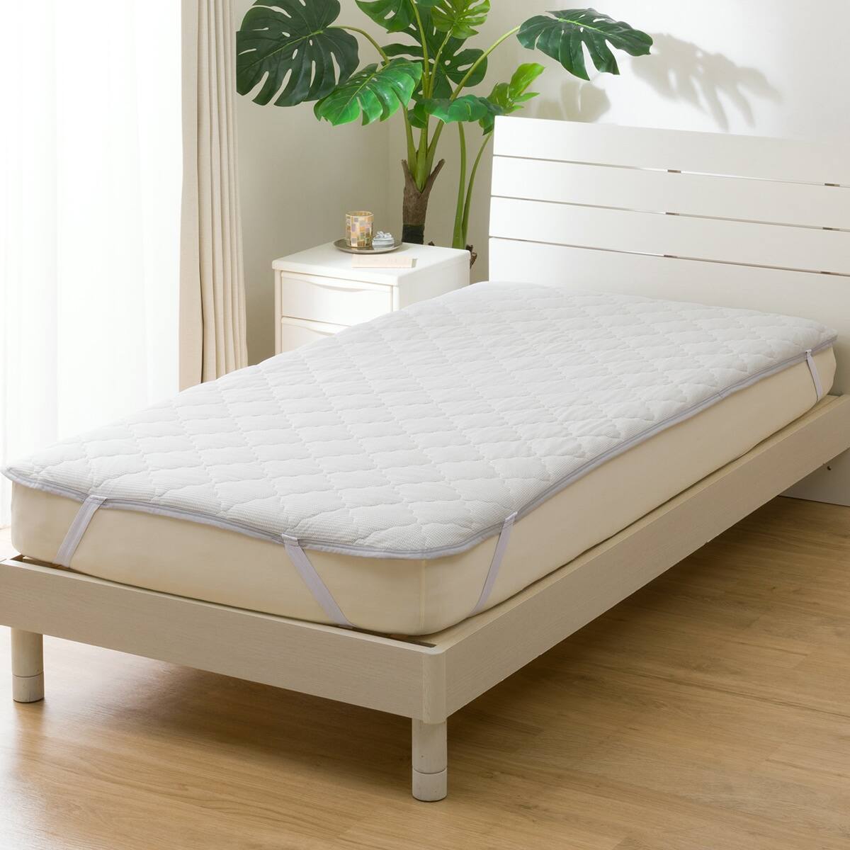 211510003668702.jpg?ts=