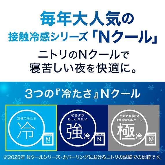 枕カバー(Nクール FS 25NC-05) 4枚目画像