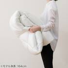 抗菌防臭掛ふとん ダブル(K2428 D) 9枚目画像