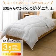 ボリューム抗菌防臭・防ダニ 掛ふとん(K2429)