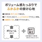 ボリューム抗菌防臭・防ダニ掛ふとん ダブル(K2429 D) 4枚目画像