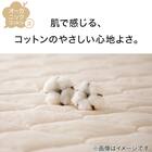 肌布団 シングル(オーガニックコットン混 OG3 S BE T01) 3枚目画像