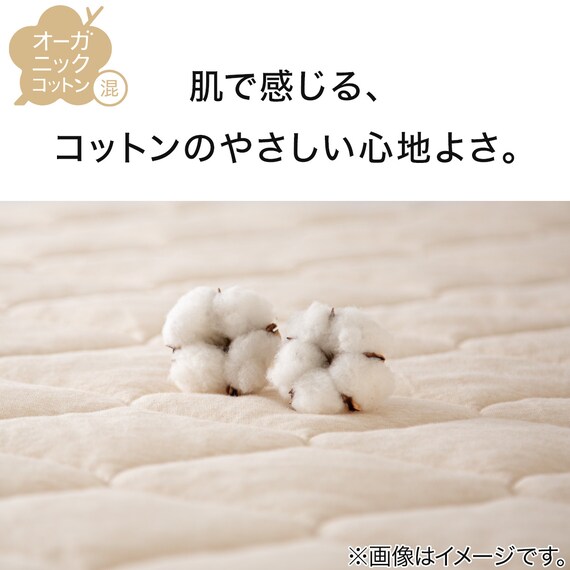 肌布団 シングル(オーガニックコットン混 OG3 S BE T01) 3枚目画像