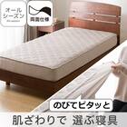 両面使える BOXパッド セミダブル(オールシーズン モカ SD 2503) 2枚目画像