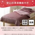 2枚合わせ 毛布 ダブル(NウォームWSP ローズ A25） 9枚目画像