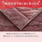 2枚合わせ 毛布 ダブル(NウォームWSP ローズ A25） 10枚目画像