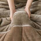 2枚合わせ 毛布 シングル(NウォームWSP モカ A25） 16枚目画像