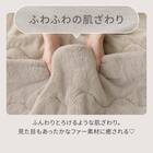 2枚合わせ 毛布 ダブル(ふわふわワッフル A25 モカ) 3枚目画像