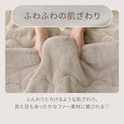 2枚合わせ 毛布 ダブル(ふわふわワッフル A25 モカ) 3枚目画像