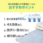 珪藻土・備長炭入り洗える除湿シート シングル(ブルー T5) 8枚目画像
