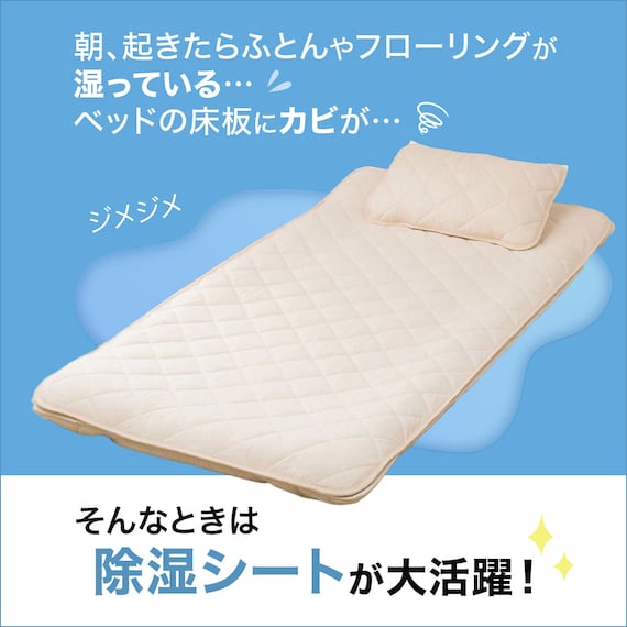 珪藻土・備長炭入り洗える除湿シート ダブル(ブルー T5) 5枚目画像