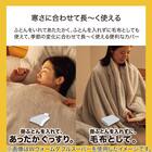 毛布にもなる掛ふとんカバー ダブル(Nウォーム ネコ 25NW13) 4枚目画像