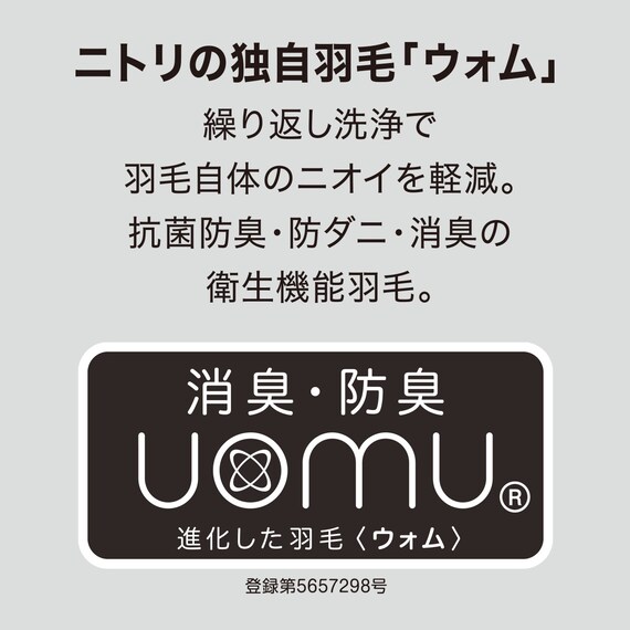 羽毛入り掛ふとん シングル(S-1 K2519 S) 8枚目画像