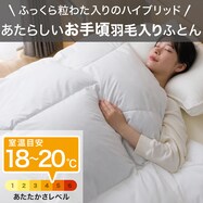 羽毛入り掛ふとん(S-1 K2519)