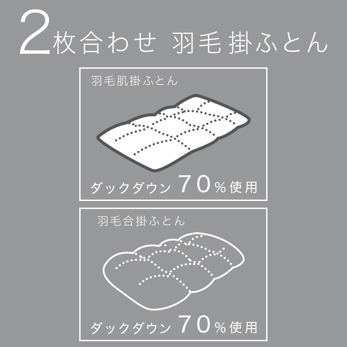 2枚合わせ羽毛掛ふとん セミダブル(NTR-2 K2520 SD) | ニトリネット