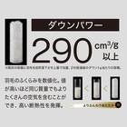 2枚合わせ羽毛掛ふとん セミダブル(NTR-2 K2520 SD) 8枚目画像