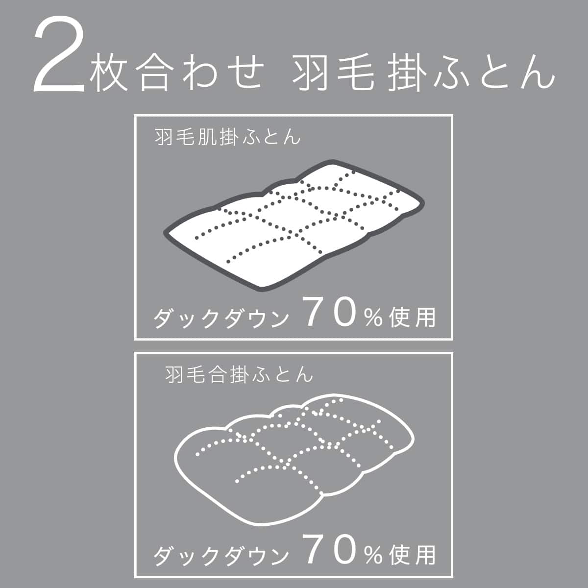 2枚合わせ羽毛掛ふとん クイーン(NTR-2 K2520 Q) | ニトリネット【公式