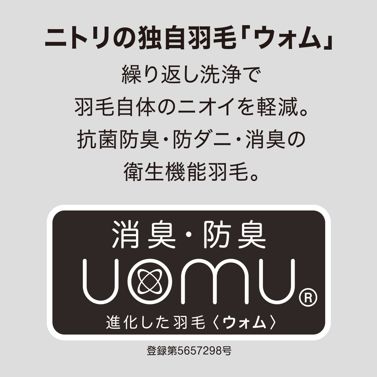 羽毛掛ふとん スタンダード シングル(UL K2521 S) | ニトリネット