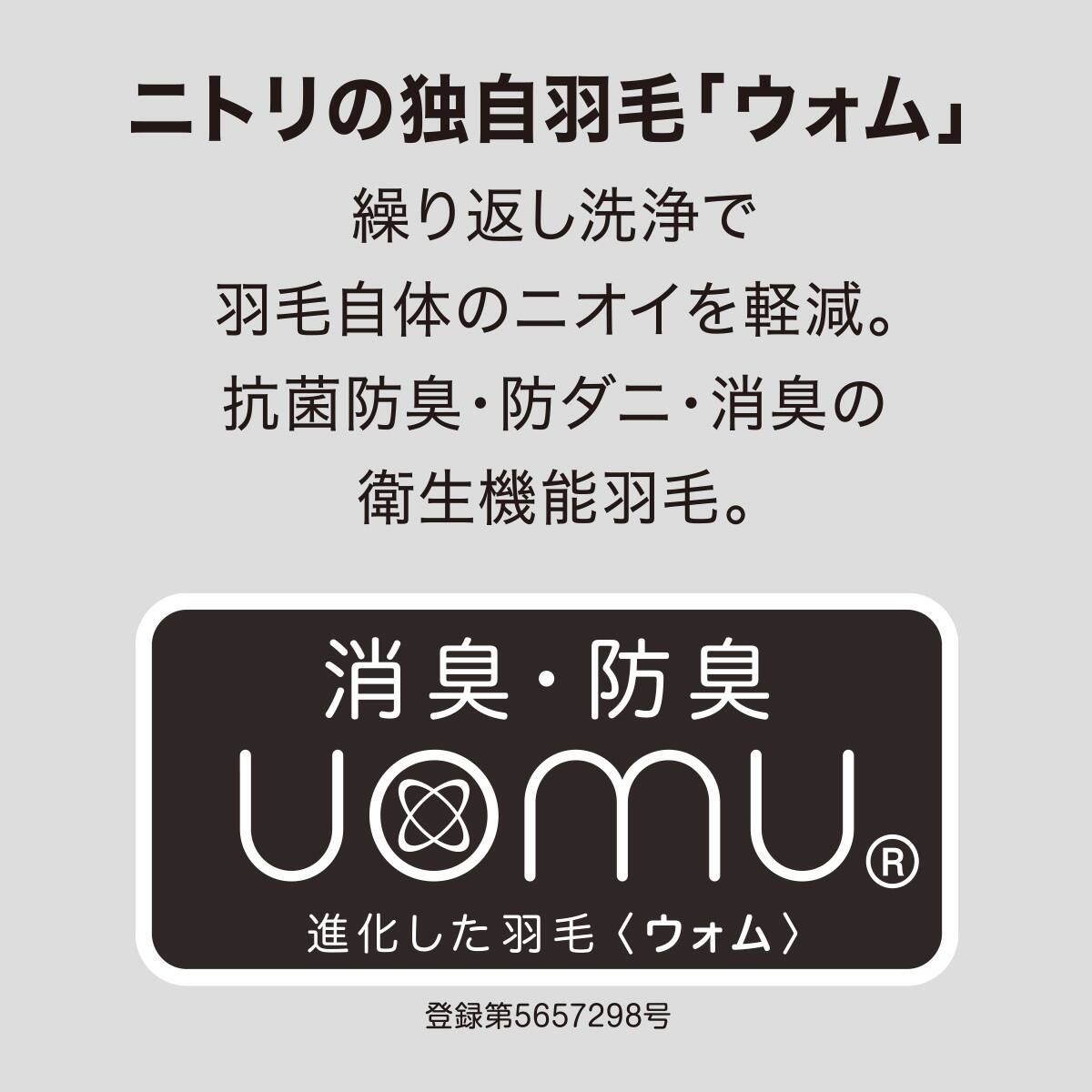 羽毛掛ふとん スタンダード セミダブル(UL K2521 SD) | ニトリネット