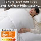 羽毛掛ふとん セレクト ダブル(UL2 K2522 D) 2枚目画像