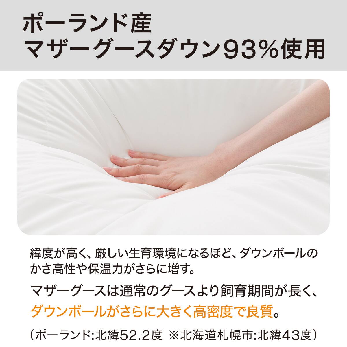 羽毛掛ふとん ラグジュアリー クイーン(ULG5 K2525 Q) | ニトリネット