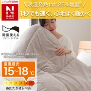 カバーのいらない両面掛ふとん(Nウォーム WSP K2528)