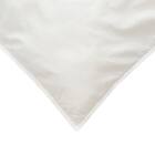 ホテルスタイル掛ふとん クイーン(Nホテル セレクト K2515 Q) 10枚目画像