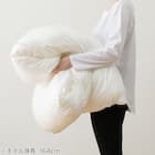 ホテルスタイル掛ふとん クイーン(Nホテル セレクト K2515 Q) 11枚目画像