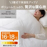 ホテルスタイル掛ふとん(Ｎホテル プレミアム K2516)